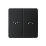 Выключатель управления для жалюзи и рольставней System Electric ArtGallery 10А/250В, карбон GAL001019